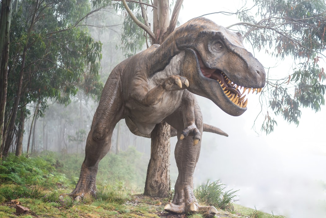 Предците на тревопасните динозаври са яли месо