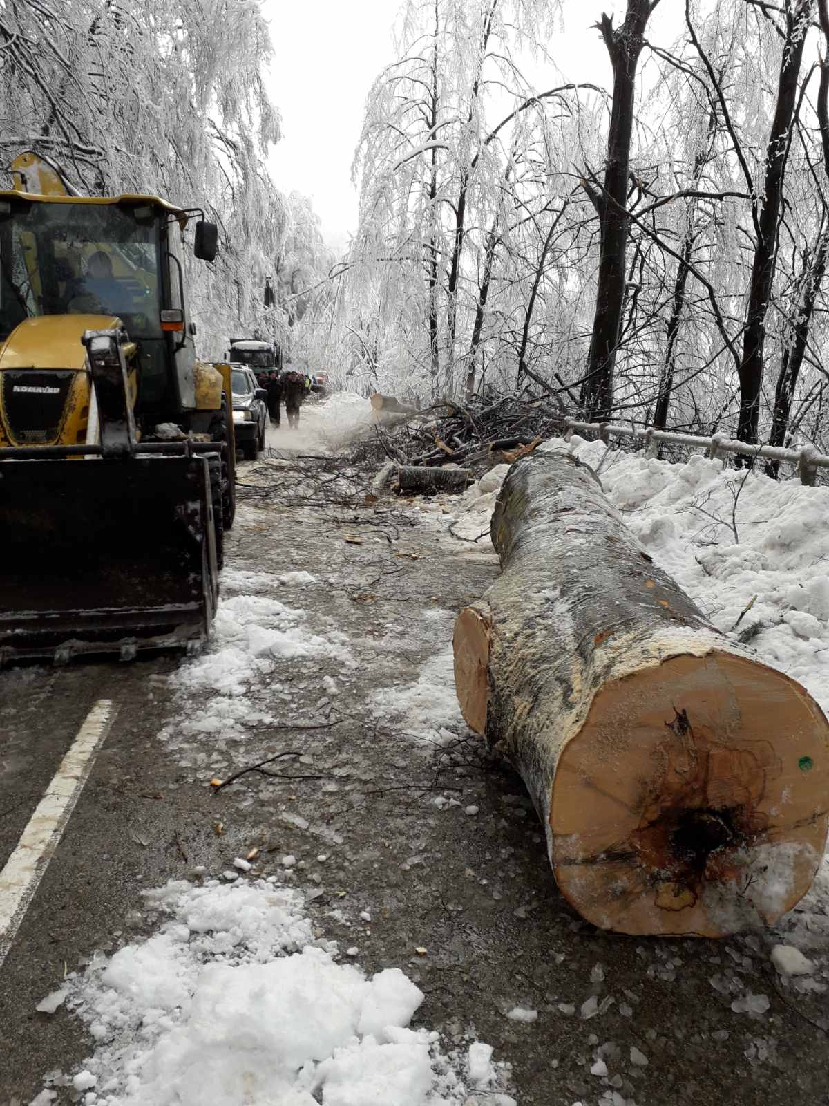 Продължава разчистването на паднали дървета по пътя през прохода Петрохан