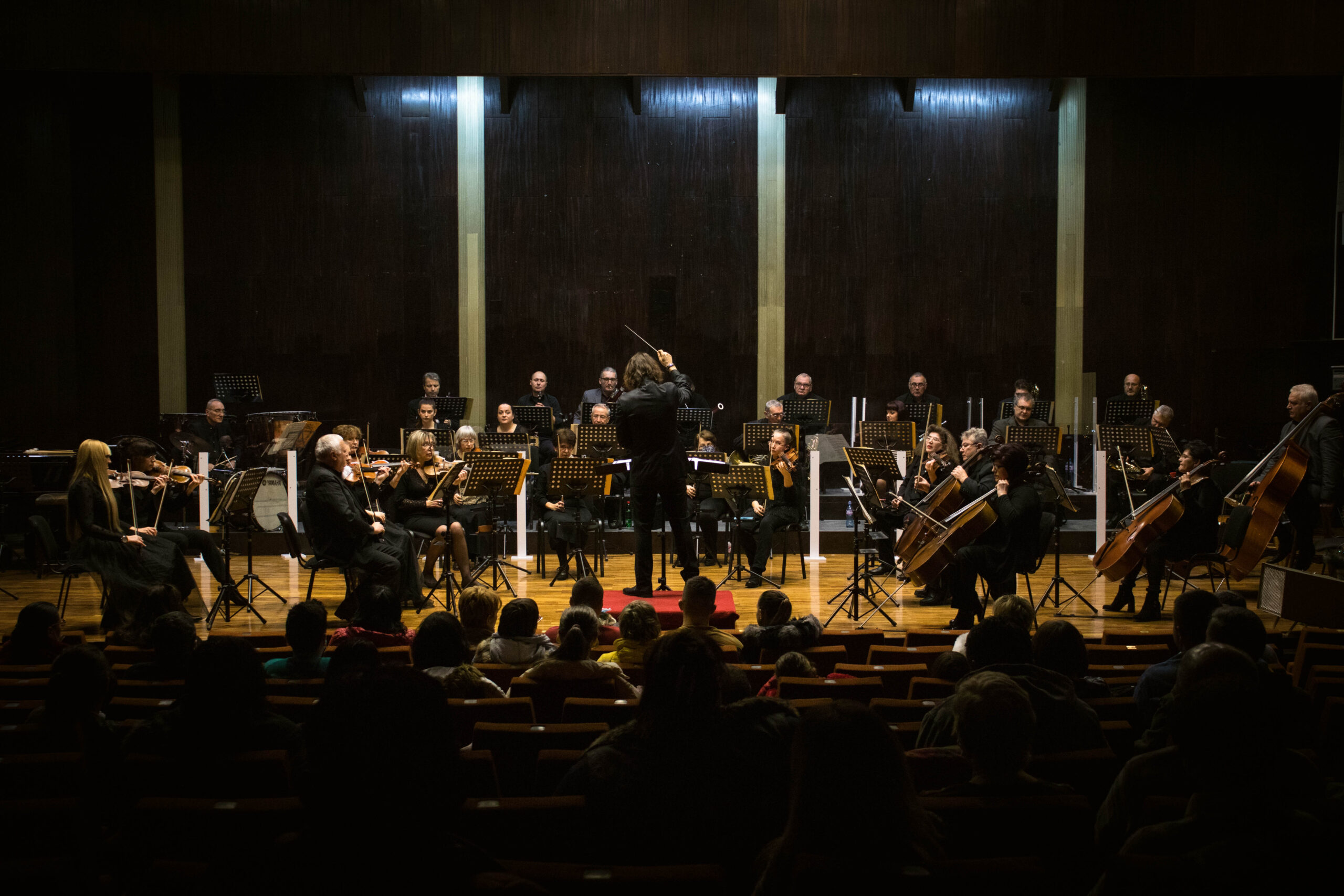 Симфониета – Видин поставя началото на цикъл концерти „Подиум на младия диригент“