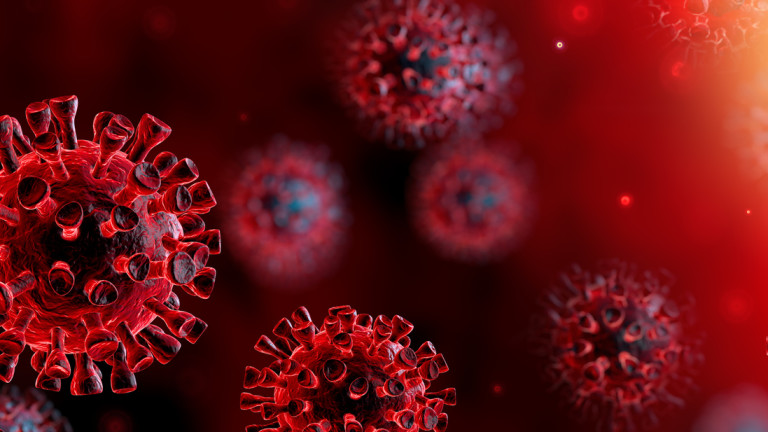 9 новозаразени и 22 излекувани от коронавирус в област Видин