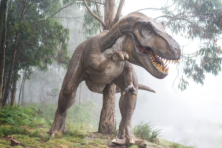 Динозаврите са измирали милиони години преди метеоритния удар