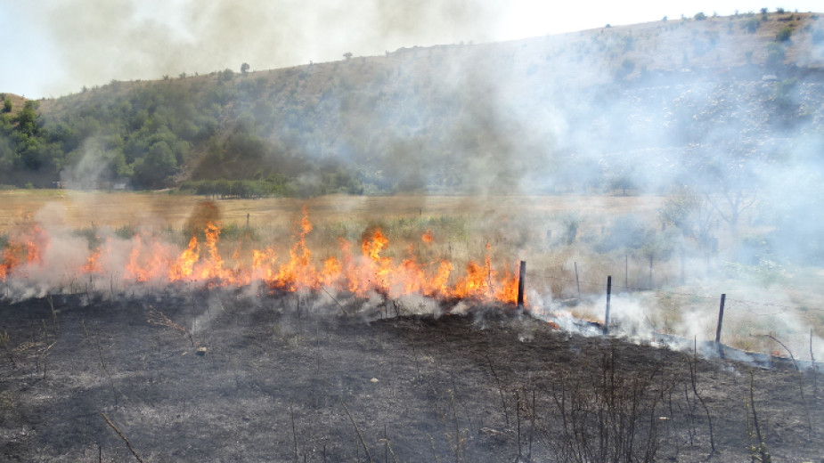 Двама лесничеи са загинали при пожар край санданското село Петрово