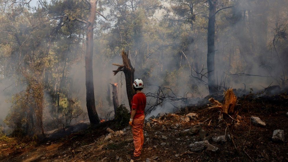 Шести ден продължава борбата на Турция с пожарите – снимки, видео