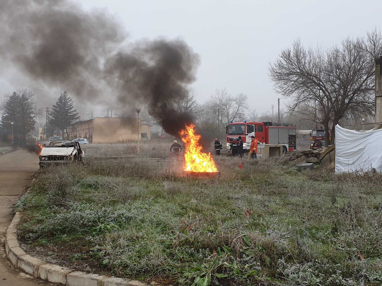 350 декара лозе изгоря край видинското село Рупци