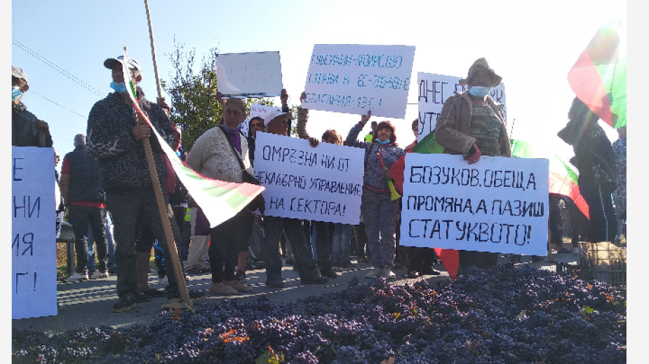 Лозари от Северозапада блокираха пътя Монтана – Видин