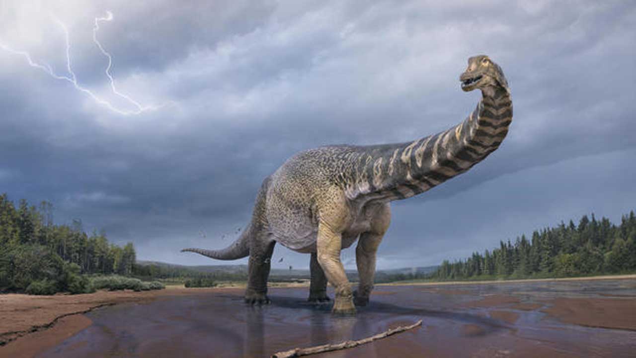 Палеонтолози откриха в Аржентина останки от 10-метров динозавър