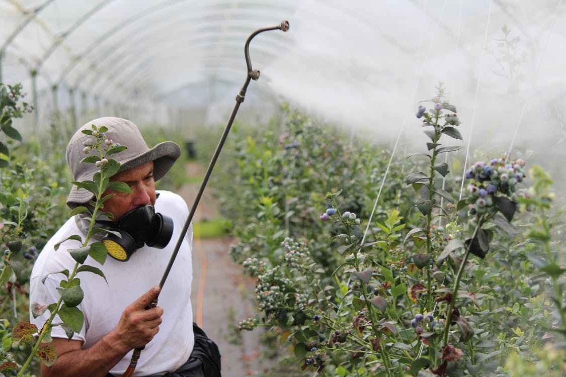 БАБХ пресече нелегална търговия в интернет с неразрешени пестициди