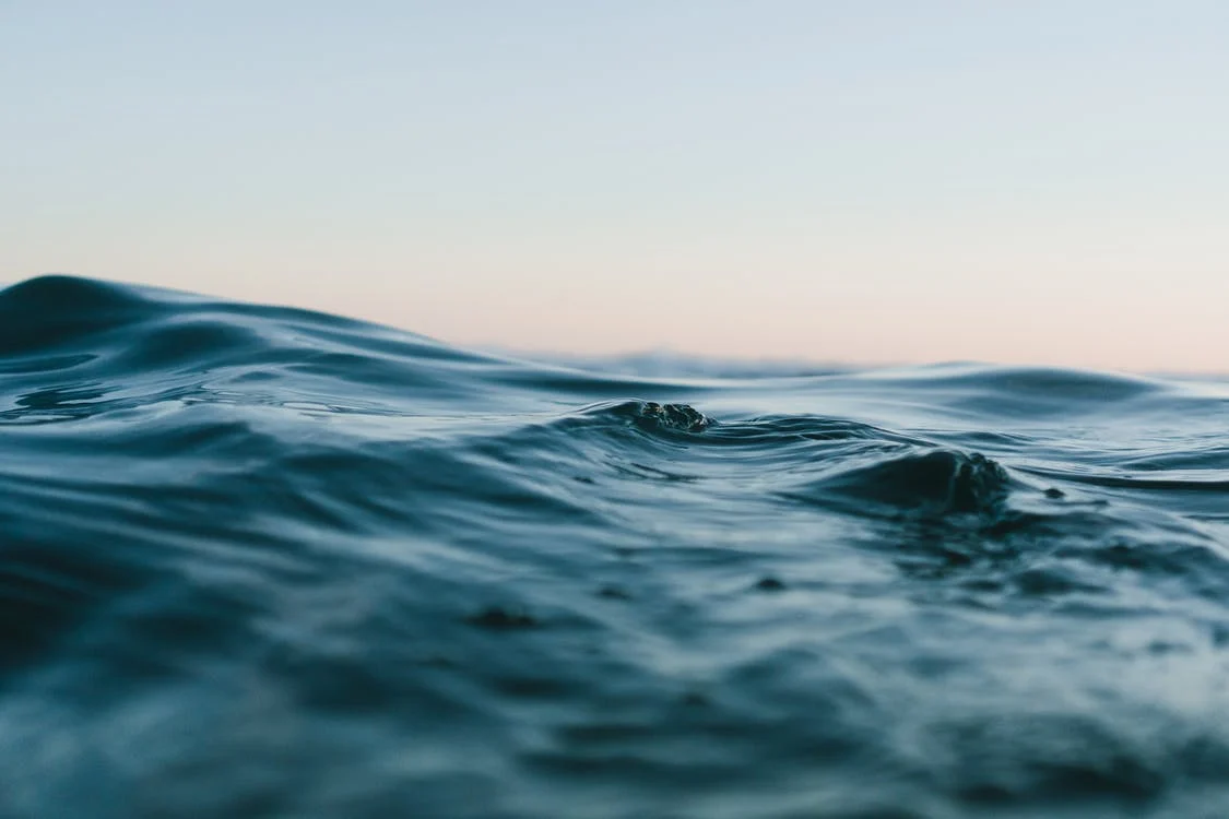 Океаните по света са с най-високи нива на киселинност от 26 000 г.