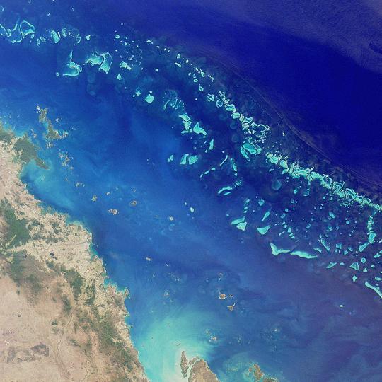 Части от Големия бариерен риф в Австралия имат най-голямо коралово покритие от 36 г. насам