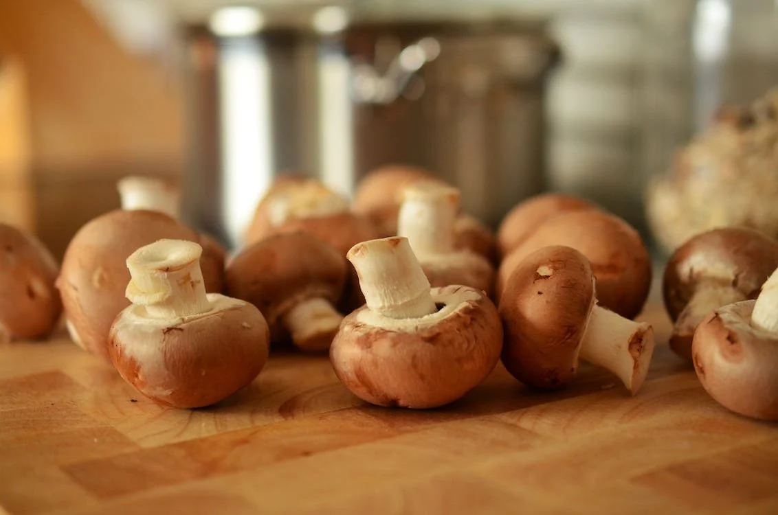 Печурките – природните пробиотици и антидепресанти