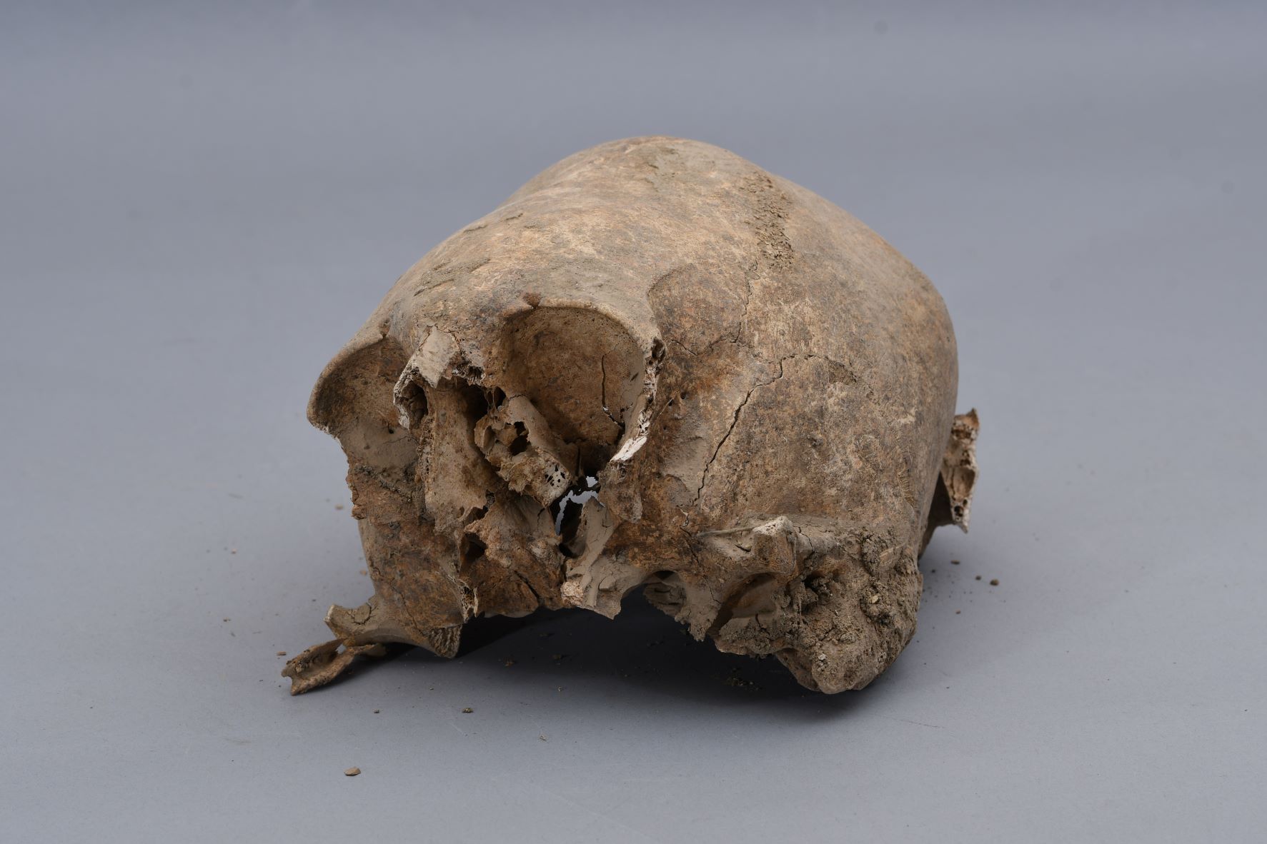 Върнаха изчезналия череп от гробницата на Августа Траяна