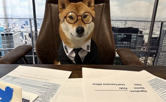 Мъск „назначи“ куче за главен изпълнителен директор на Twitter