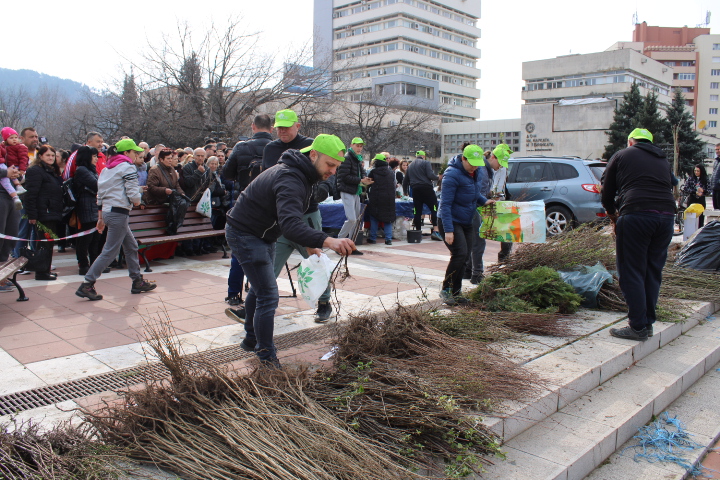 Засаждат в Благоевград 12 000 дръвчета от 17 вида – видео