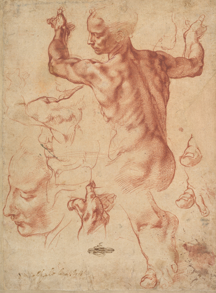 „Микеланджело и последиците“ е името на голяма експозиция в музея „Албертина“
