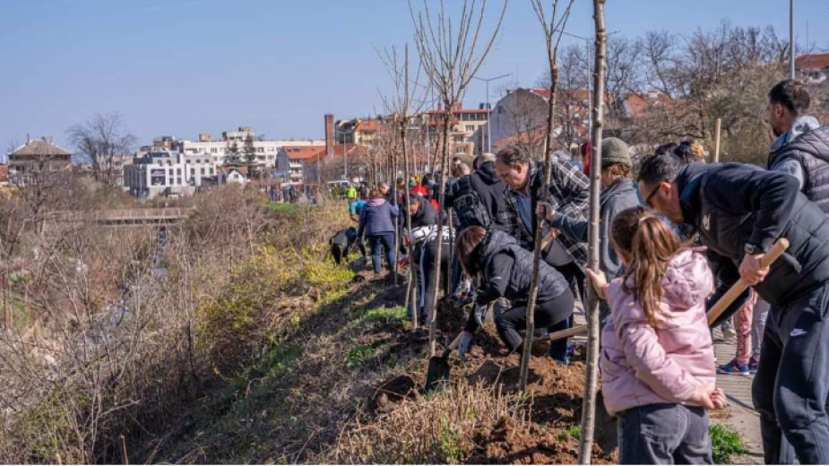 Във Враца засадиха 500 дръвчета