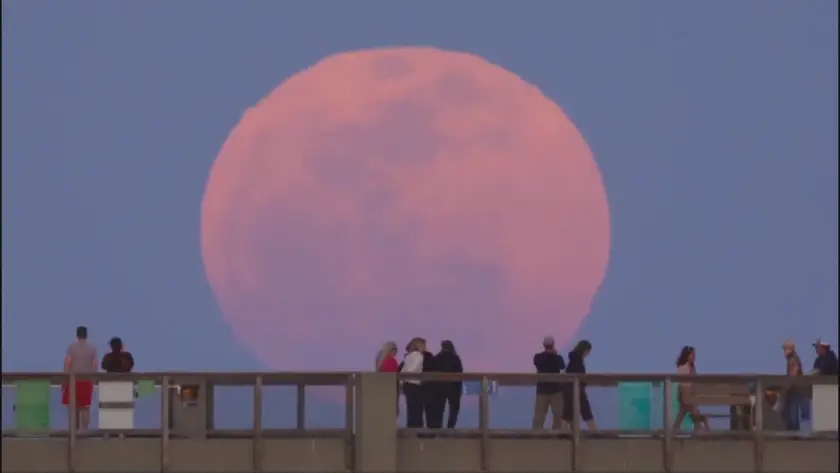 Розова луна